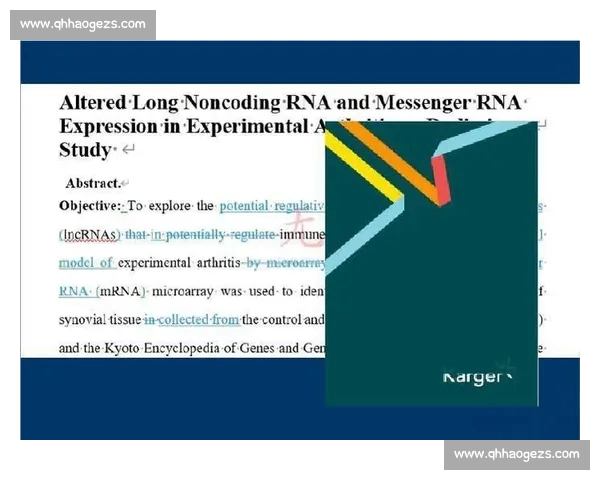 从竞技公平到赛事运行的现代体育规则体系解析与实践应用研究路径 从竞技公平到赛事运行的现代体育规则体系解析与实践应用研究路径